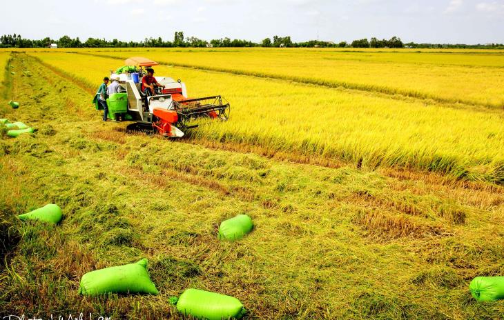 Xây dựng mô hình HTX kiểu mới ở Trà Vinh: Sinh khí mới thúc đẩy tam nông